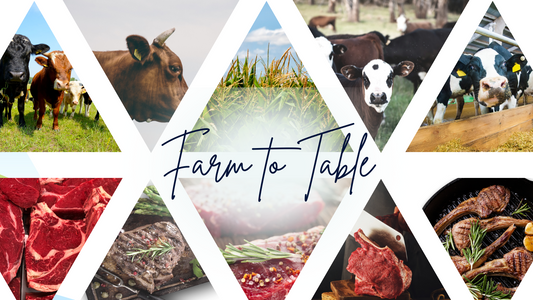 Discover the Journey of our Farm to Table Local Beef