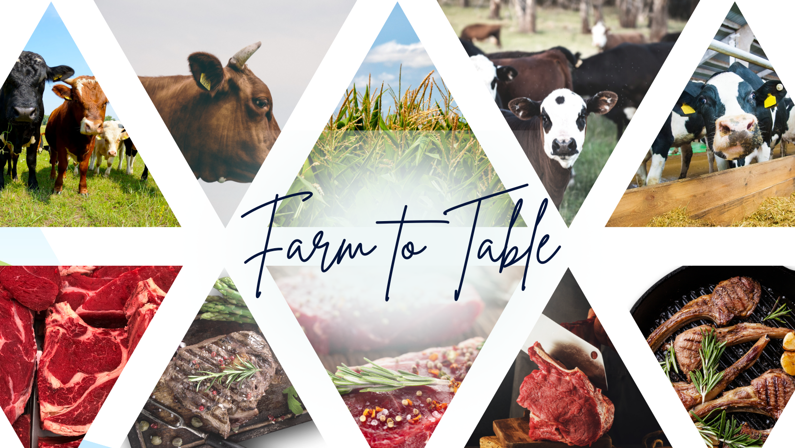 Discover the Journey of our Farm to Table Local Beef