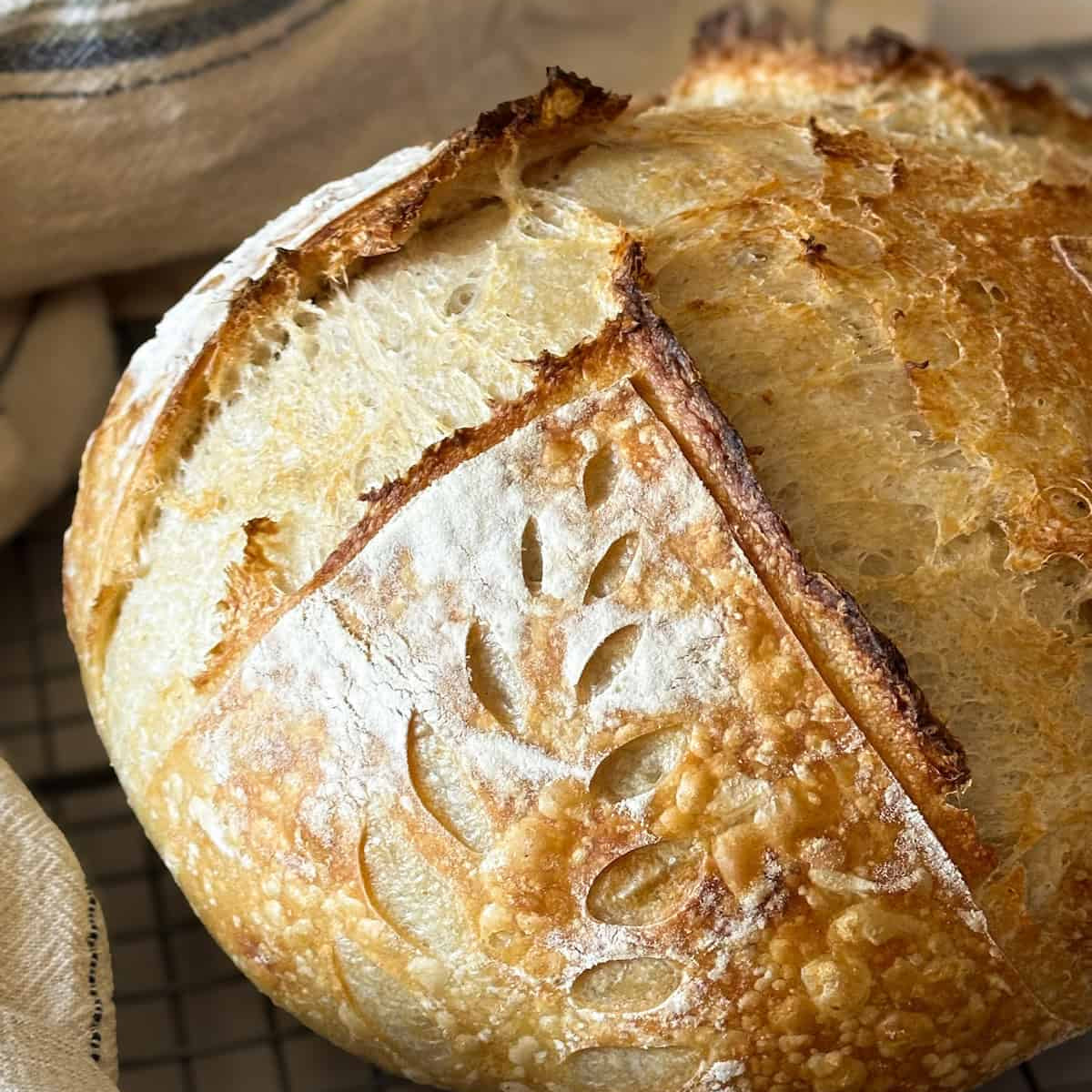 April 25th: Hands-on Sourdough Workshop