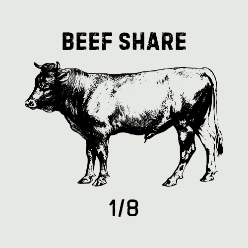1/8th Beef Share